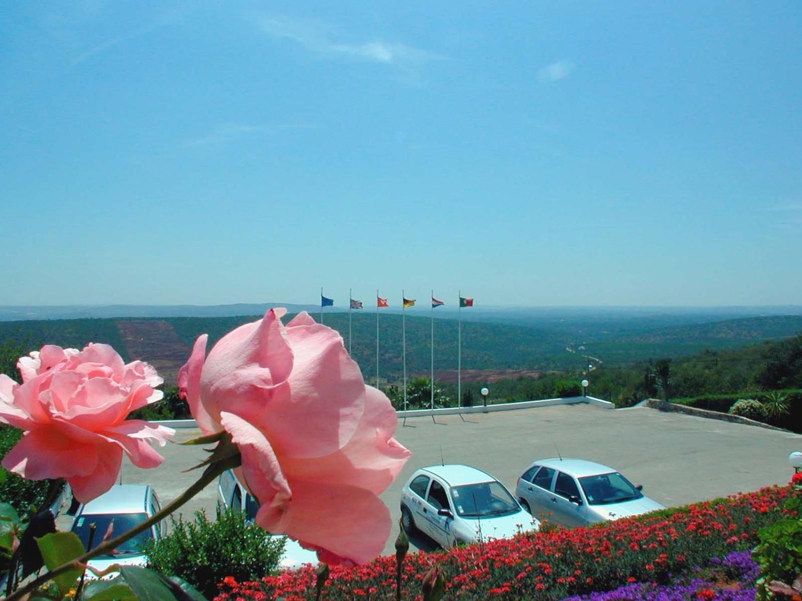 Alte Hotel Esterno foto